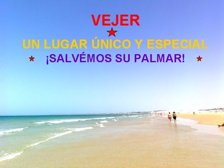 VEJER UN LUGAR ÚNICO Y ESPECIAL ¡SALVÉMOS SU PALMAR! 