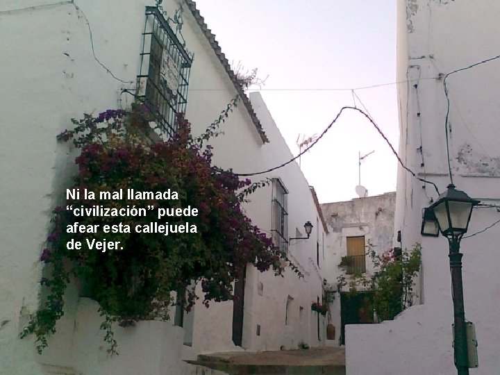 Ni la mal llamada “civilización” puede afear esta callejuela de Vejer. 