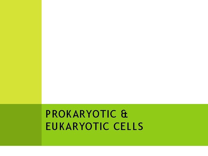PROKARYOTIC & EUKARYOTIC CELLS 