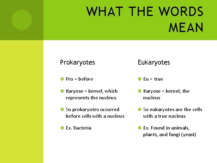 WHAT THE WORDS MEAN Prokaryotes Eukaryotes Pro = before Eu = true Karyose =