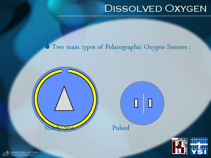 Dissolved Oxygen Two main types of Polarographic Oxygen Sensors : Steady State Pulsed Dissolved Oxygen Two main types of Polarographic Oxygen Sensors : Steady State Pulsed