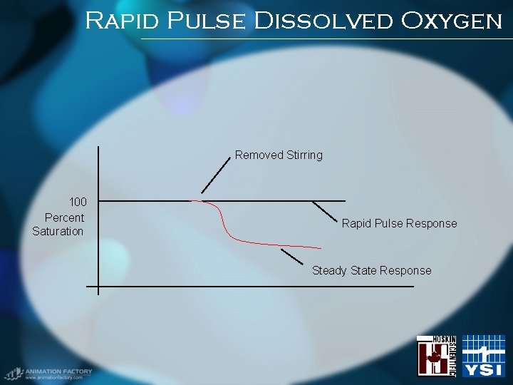 Rapid Pulse Dissolved Oxygen Removed Stirring 100 Percent Saturation Rapid Pulse Response Steady State Rapid Pulse Dissolved Oxygen Removed Stirring 100 Percent Saturation Rapid Pulse Response Steady State