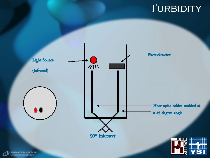 Turbidity Photodetector Light Source (infrared) Fiber optic cables molded at a 45 degree angle Turbidity Photodetector Light Source (infrared) Fiber optic cables molded at a 45 degree angle