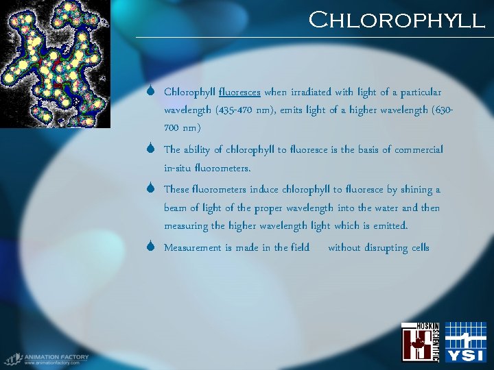 Chlorophyll fluoresces when irradiated with light of a particular wavelength (435 -470 nm), emits Chlorophyll fluoresces when irradiated with light of a particular wavelength (435 -470 nm), emits