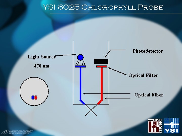 YSI 6025 Chlorophyll Probe Photodetector Light Source 470 nm Optical Filter Optical Fiber YSI 6025 Chlorophyll Probe Photodetector Light Source 470 nm Optical Filter Optical Fiber