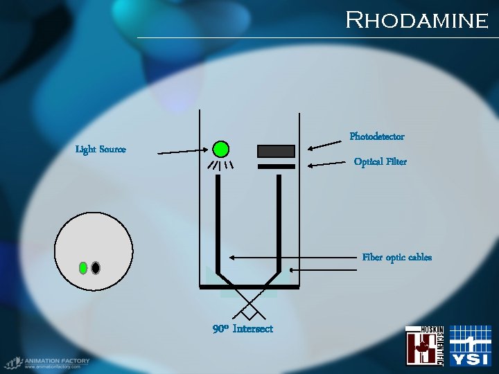 Rhodamine Photodetector Light Source Optical Filter Fiber optic cables 90º Intersect Rhodamine Photodetector Light Source Optical Filter Fiber optic cables 90º Intersect