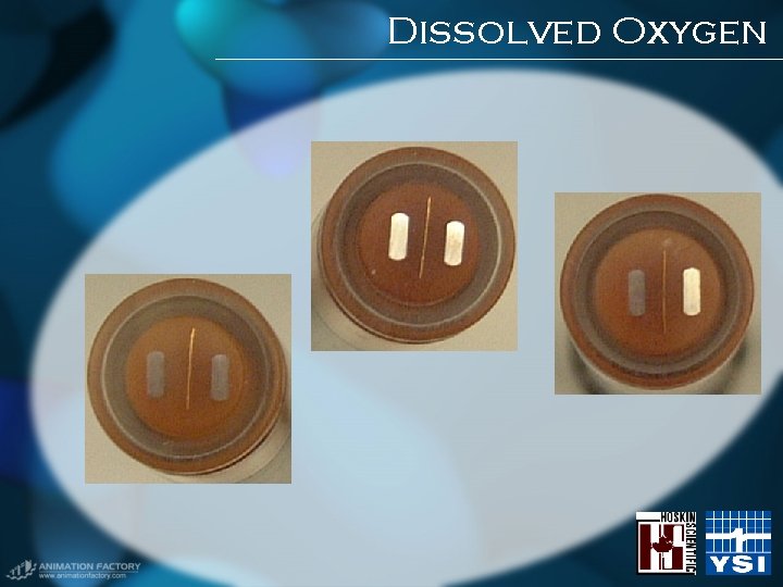 Dissolved Oxygen Dissolved Oxygen