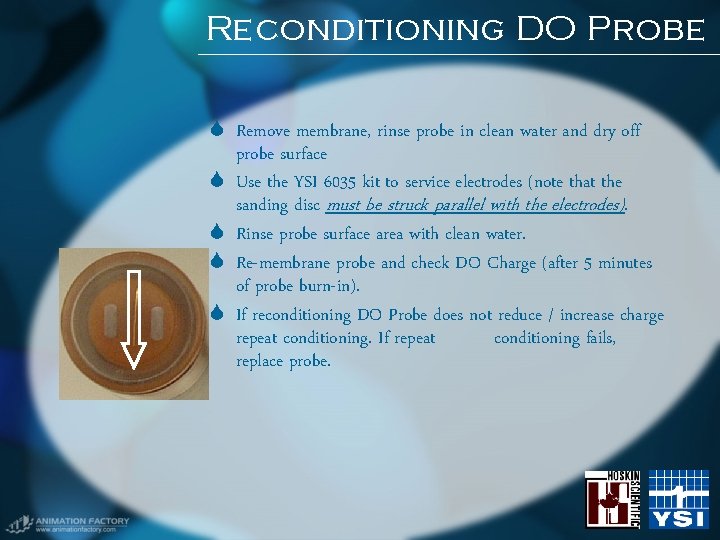 Reconditioning DO Probe Remove membrane, rinse probe in clean water and dry off probe Reconditioning DO Probe Remove membrane, rinse probe in clean water and dry off probe