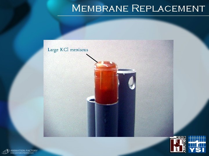 Membrane Replacement Large KCl meniscus Membrane Replacement Large KCl meniscus