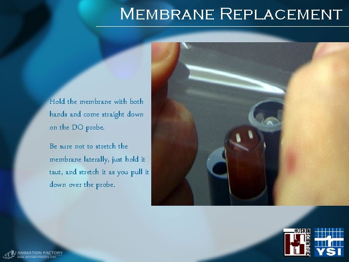 Membrane Replacement Hold the membrane with both hands and come straight down on the Membrane Replacement Hold the membrane with both hands and come straight down on the