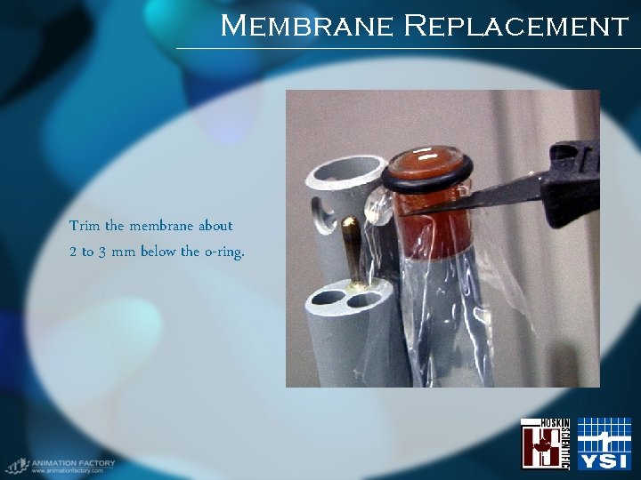 Membrane Replacement Trim the membrane about 2 to 3 mm below the o-ring. Membrane Replacement Trim the membrane about 2 to 3 mm below the o-ring.