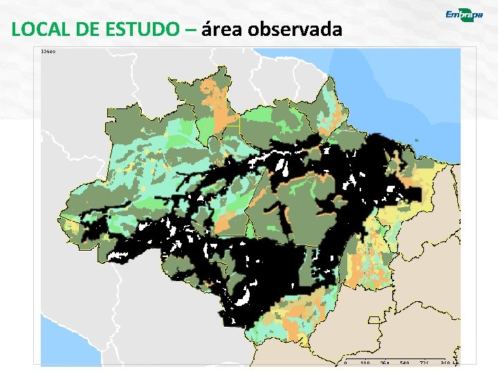 LOCAL DE ESTUDO – área observada 