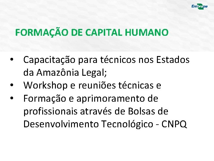 FORMAÇÃO DE CAPITAL HUMANO • Capacitação para técnicos nos Estados da Amazônia Legal; •