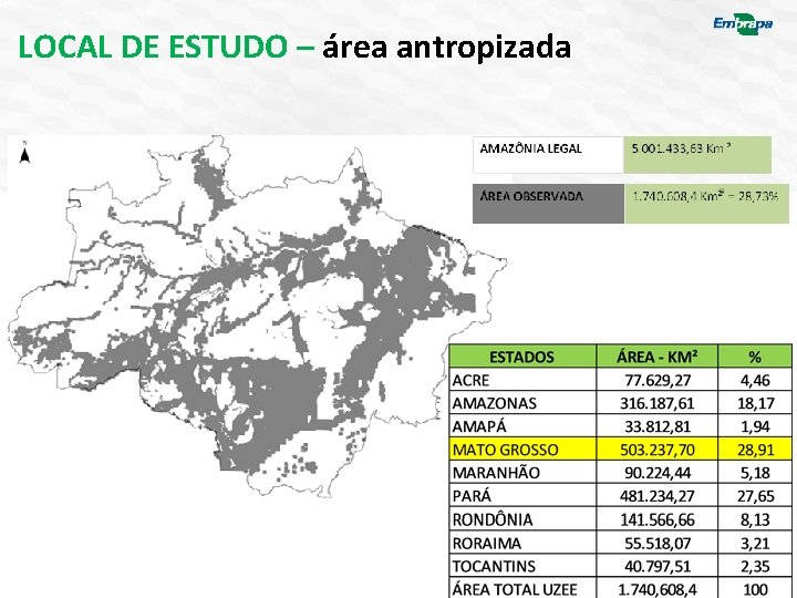 LOCAL DE ESTUDO – área antropizada 