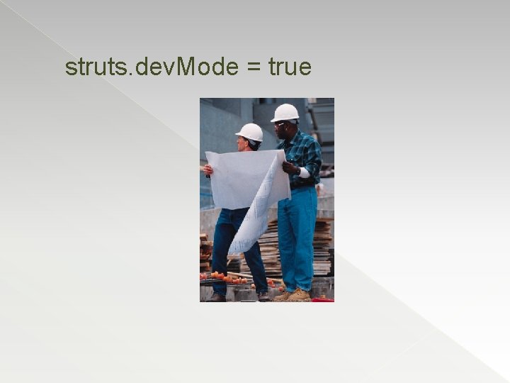 struts. dev. Mode = true 