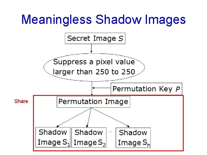 Meaningless Shadow Images Share 
