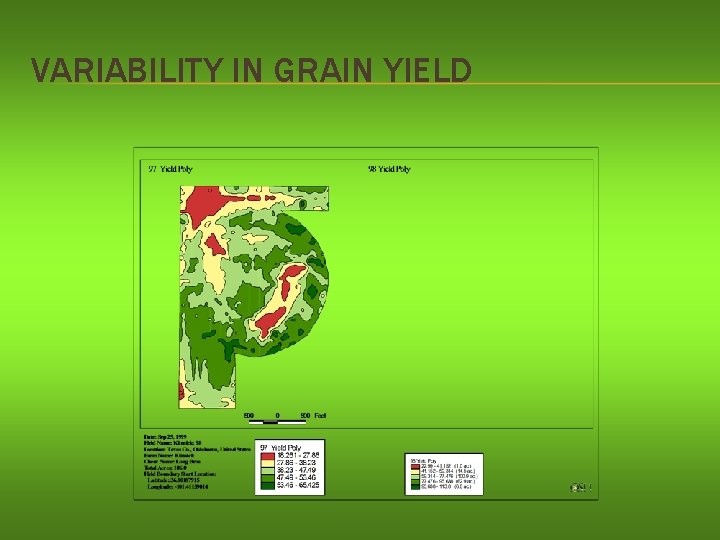 VARIABILITY IN GRAIN YIELD 