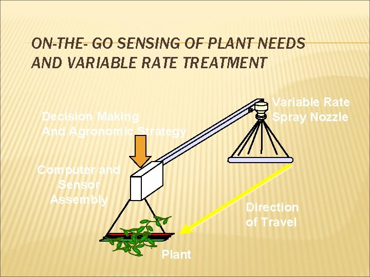 ON-THE- GO SENSING OF PLANT NEEDS AND VARIABLE RATE TREATMENT Decision Making And Agronomic