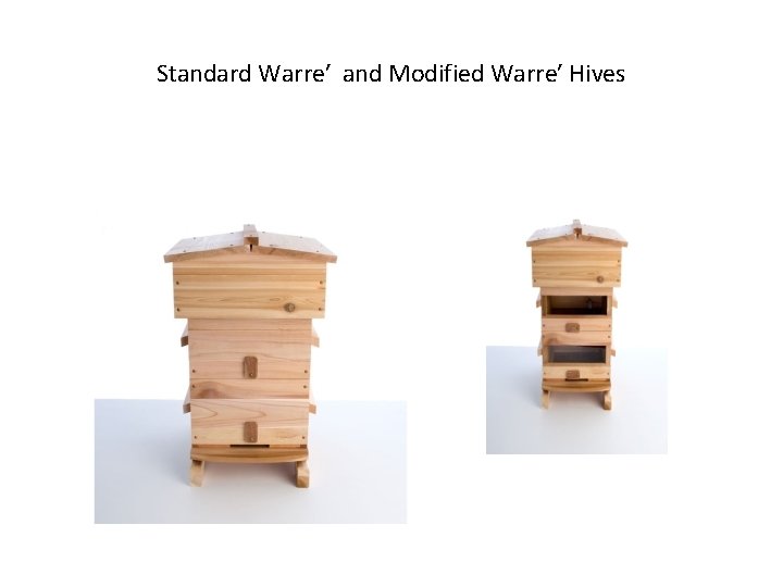 Standard Warre′ and Modified Warre′ Hives 