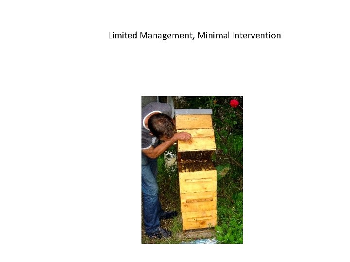 Limited Management, Minimal Intervention 