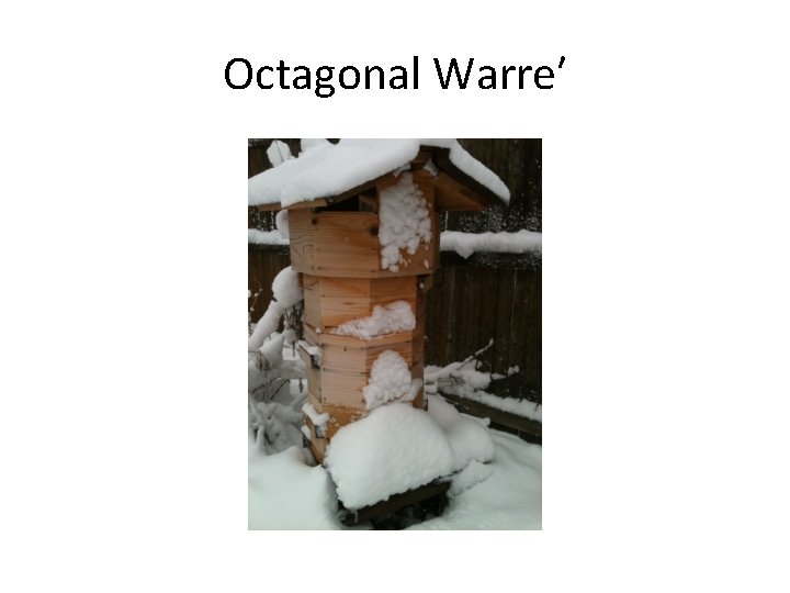 Octagonal Warre′ 