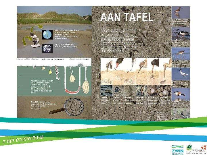 op ontdekking in de natuur ZOOM IN OP