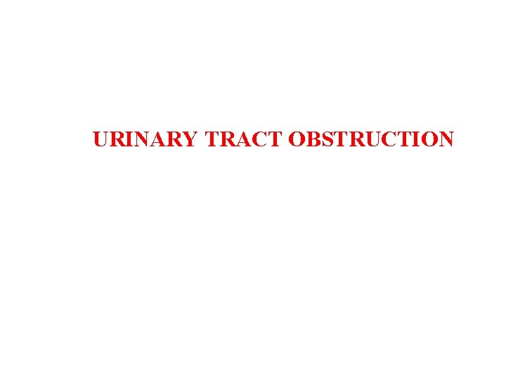 URINARY TRACT OBSTRUCTION 