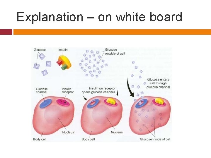Explanation – on white board 