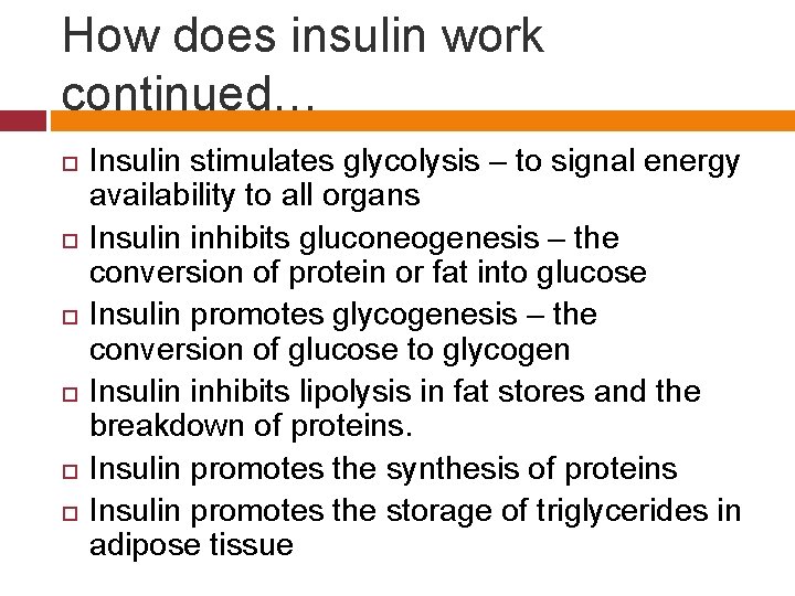 How does insulin work continued… Insulin stimulates glycolysis – to signal energy availability to