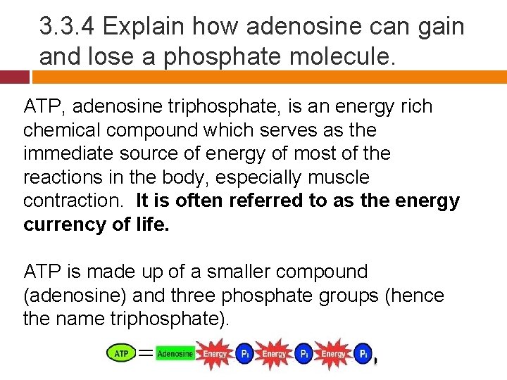 3. 3. 4 Explain how adenosine can gain and lose a phosphate molecule. ATP,