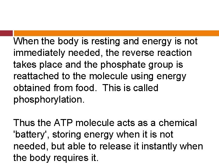 When the body is resting and energy is not immediately needed, the reverse reaction