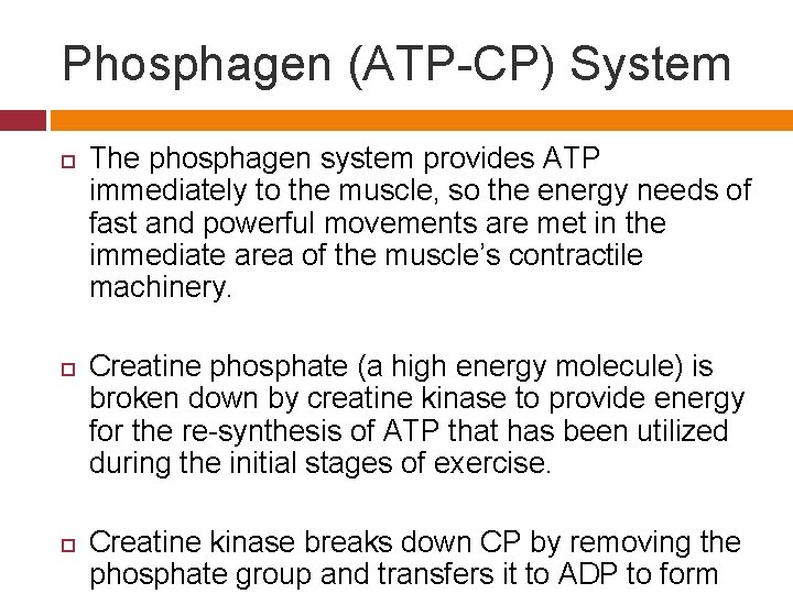 Phosphagen (ATP-CP) System The phosphagen system provides ATP immediately to the muscle, so the