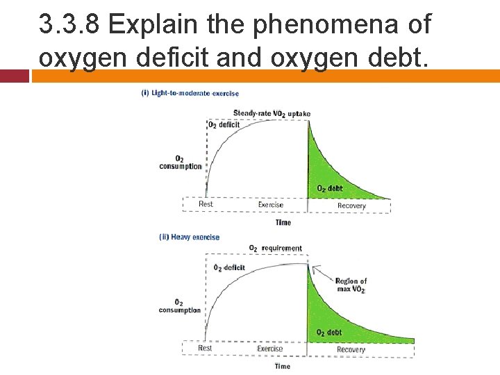 3. 3. 8 Explain the phenomena of oxygen deficit and oxygen debt. 