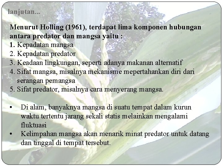 lanjutan. . . Menurut Holling (1961), terdapat lima komponen hubungan antara predator dan mangsa