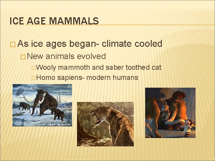 ICE AGE MAMMALS � As ice ages began- climate cooled � New animals evolved ICE AGE MAMMALS � As ice ages began- climate cooled � New animals evolved