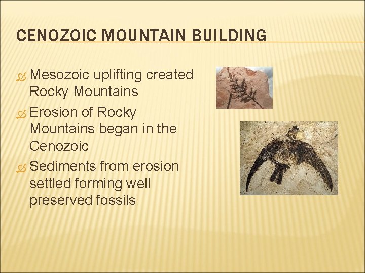 CENOZOIC MOUNTAIN BUILDING Mesozoic uplifting created Rocky Mountains Erosion of Rocky Mountains began in CENOZOIC MOUNTAIN BUILDING Mesozoic uplifting created Rocky Mountains Erosion of Rocky Mountains began in