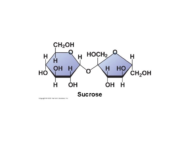 Sucrose 