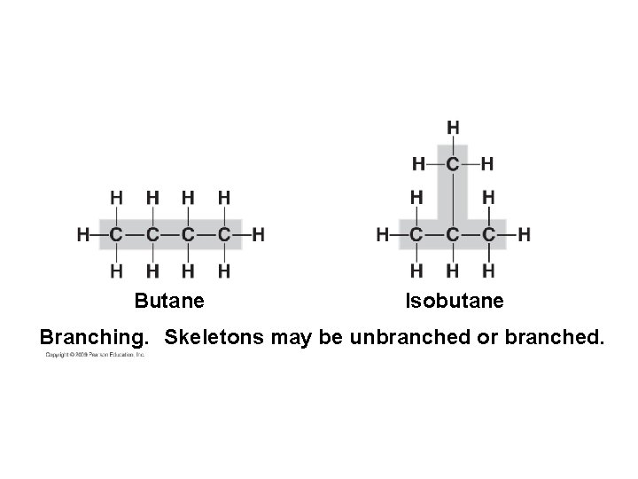 Butane Isobutane Branching. Skeletons may be unbranched or branched. 
