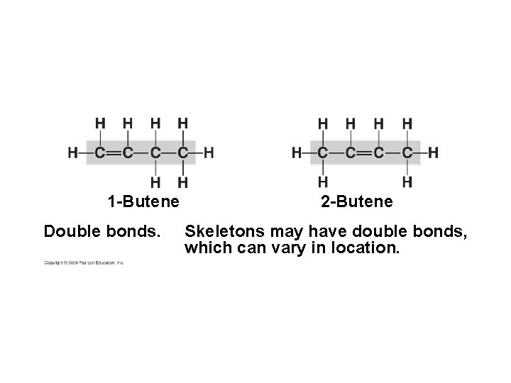 1 -Butene Double bonds. 2 -Butene Skeletons may have double bonds, which can vary