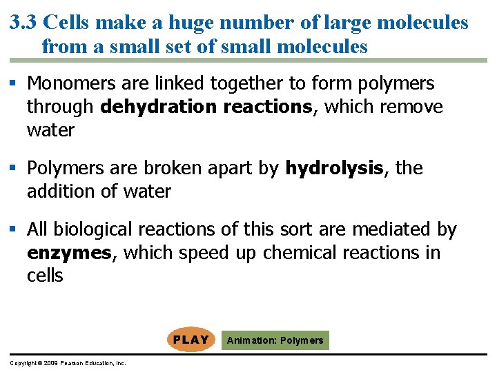 3. 3 Cells make a huge number of large molecules from a small set