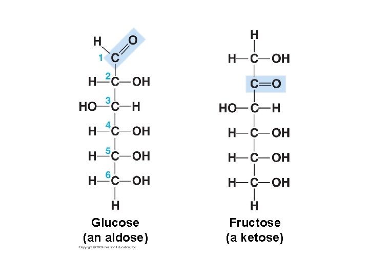 Glucose (an aldose) Fructose (a ketose) 