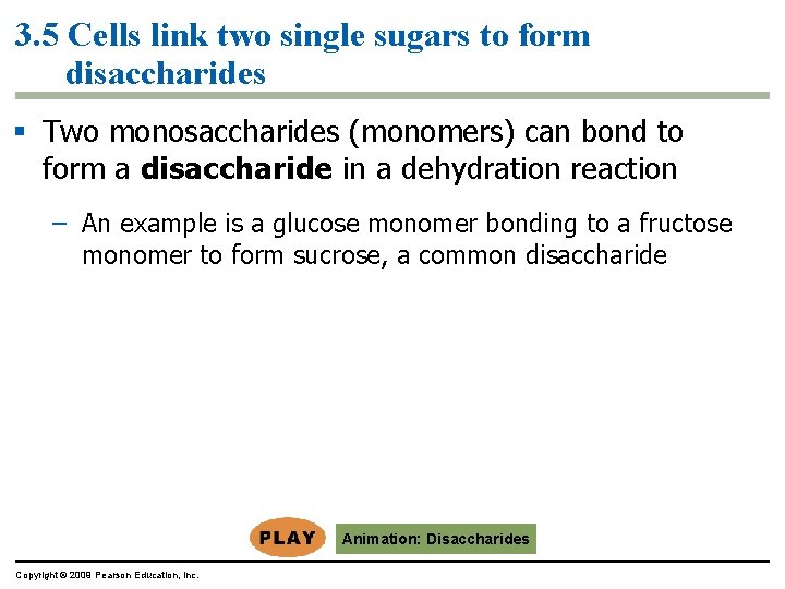 3. 5 Cells link two single sugars to form disaccharides § Two monosaccharides (monomers)