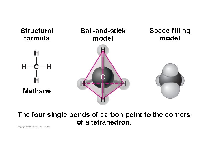 Structural formula Ball-and-stick model Space-filling model Methane The four single bonds of carbon point