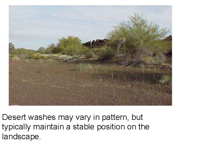 Desert washes may vary in pattern, but typically maintain a stable position on the Desert washes may vary in pattern, but typically maintain a stable position on the
