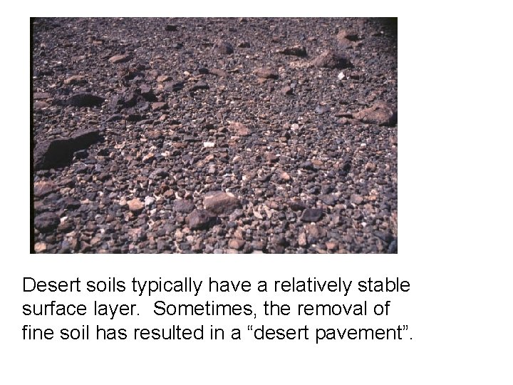Desert soils typically have a relatively stable surface layer. Sometimes, the removal of fine Desert soils typically have a relatively stable surface layer. Sometimes, the removal of fine
