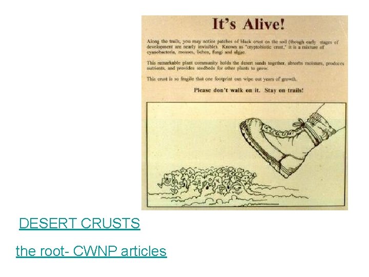 DESERT CRUSTS the root- CWNP articles DESERT CRUSTS the root- CWNP articles