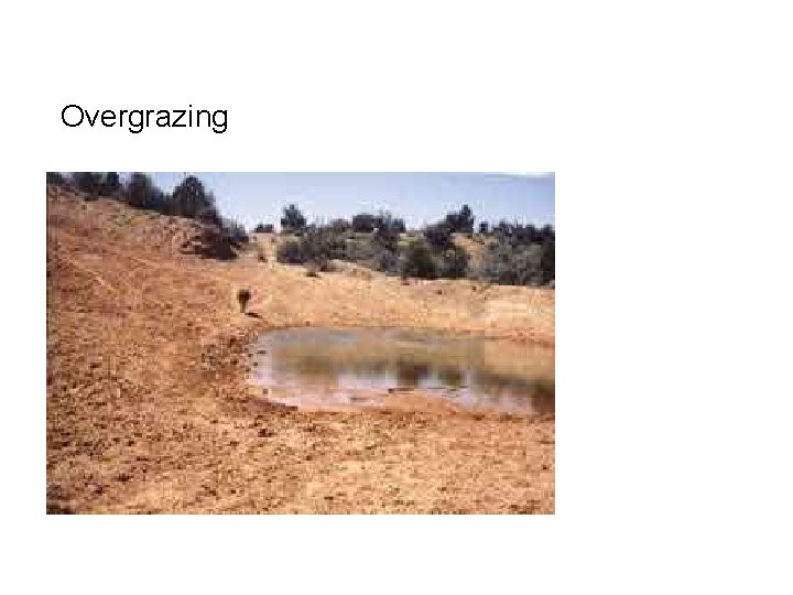 Overgrazing Overgrazing