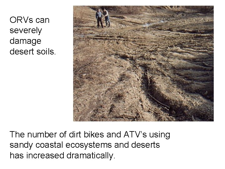 ORVs can severely damage desert soils. The number of dirt bikes and ATV’s using ORVs can severely damage desert soils. The number of dirt bikes and ATV’s using