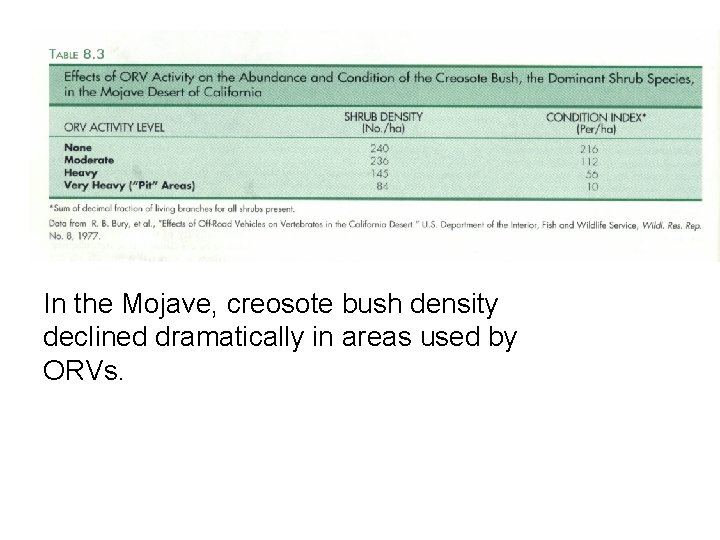 In the Mojave, creosote bush density declined dramatically in areas used by ORVs. In the Mojave, creosote bush density declined dramatically in areas used by ORVs.