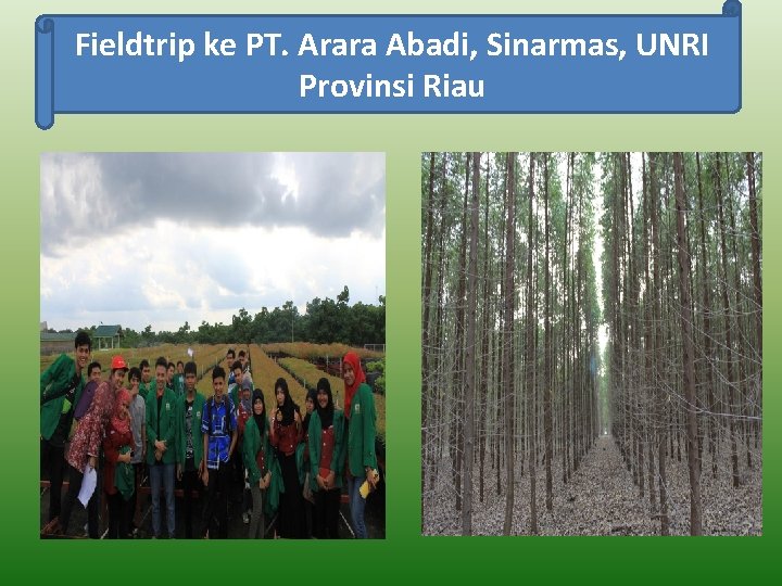 Fieldtrip ke PT. Arara Abadi, Sinarmas, UNRI Provinsi Riau 